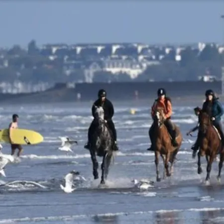 Les Echappees Belles De L'ocean * Le Pointeau