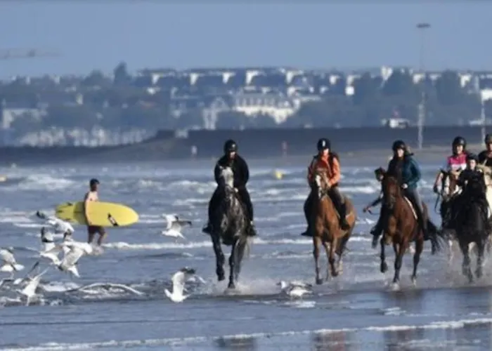 Les Echappees Belles De L'ocean * Le Pointeau